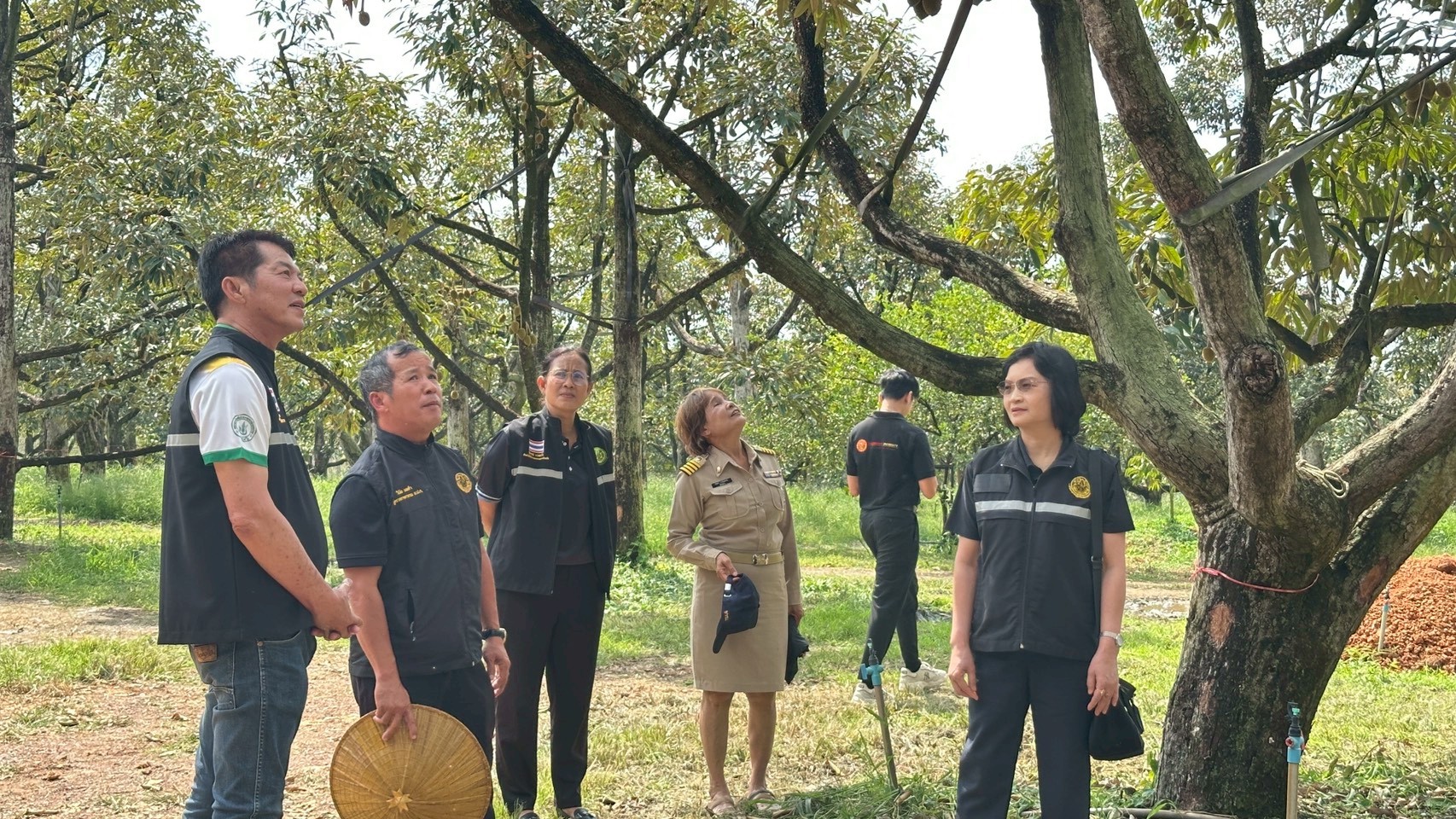 title - ประชุมติดตามผลการดำเนินงานตามแผนการตรวจราชการของ ส.ป.ก. ประจำปีงบประมาณ พ.ศ.2569 รอบที่ 1 เขตตรวจราชการที่ 9 จังหวัดตราด นายวินัย เมฆดำ